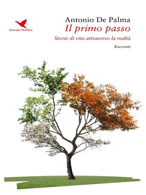 cover image of Il primo passo